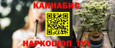 шишки Балашиха