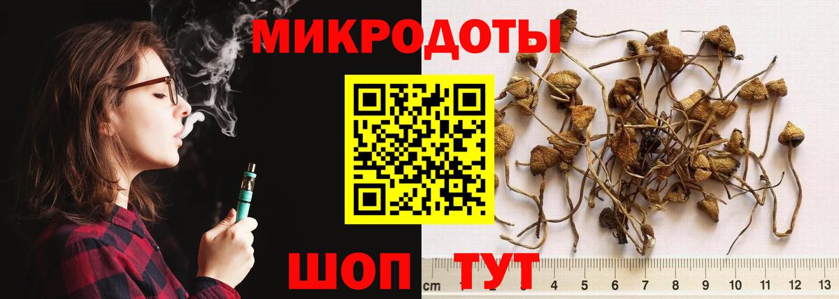 Галлюциногенные грибы Psilocybine cubensis  Вход с VPN  Елизово  Галлюциногенные грибы прущие грибы 